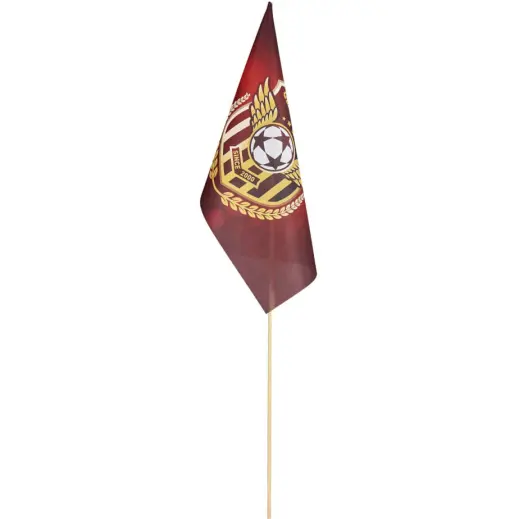 Champion Medium Hand Flag - 45cm x 30cm Branded